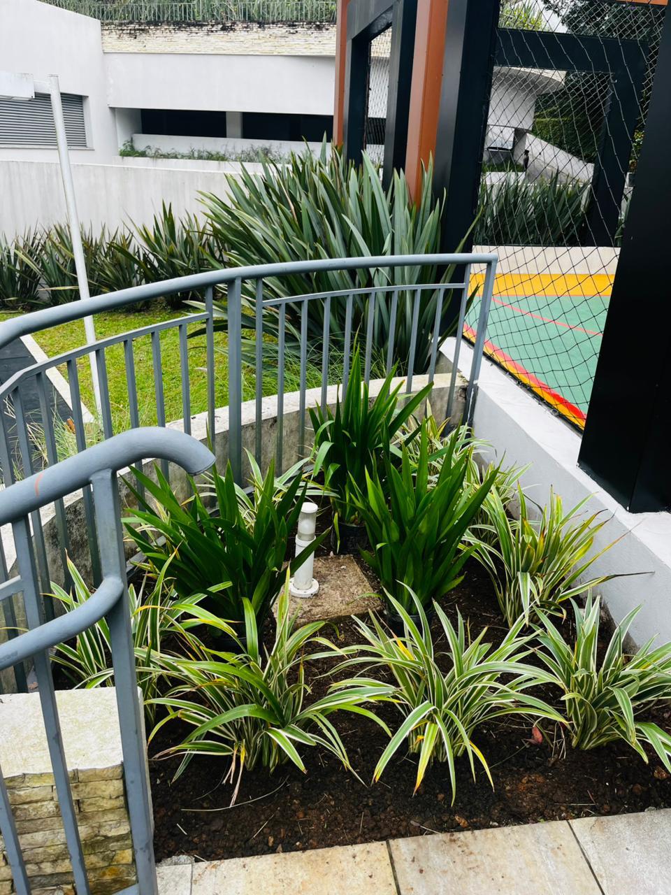 Nosso trabalho de jardinagem 1