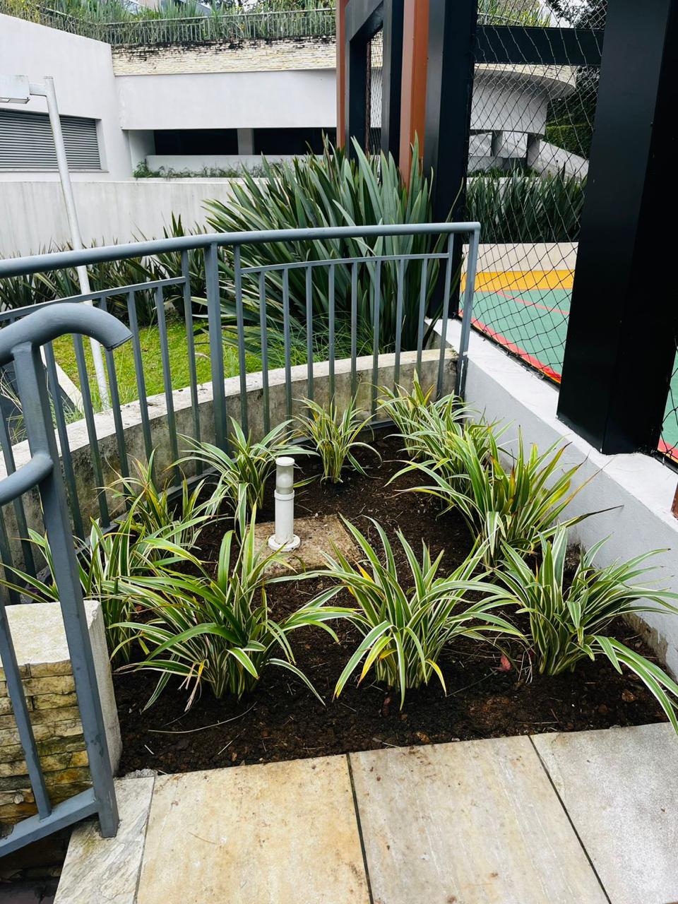 Nosso trabalho de jardinagem 2