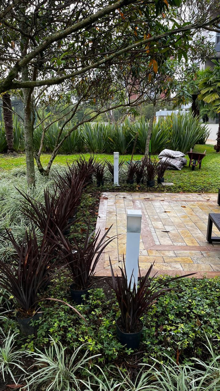 Nosso trabalho de jardinagem 3