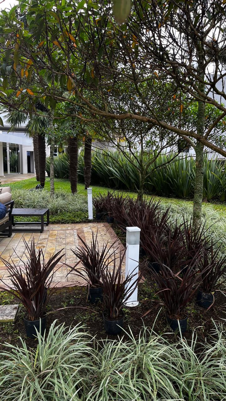 Nosso trabalho de jardinagem 4