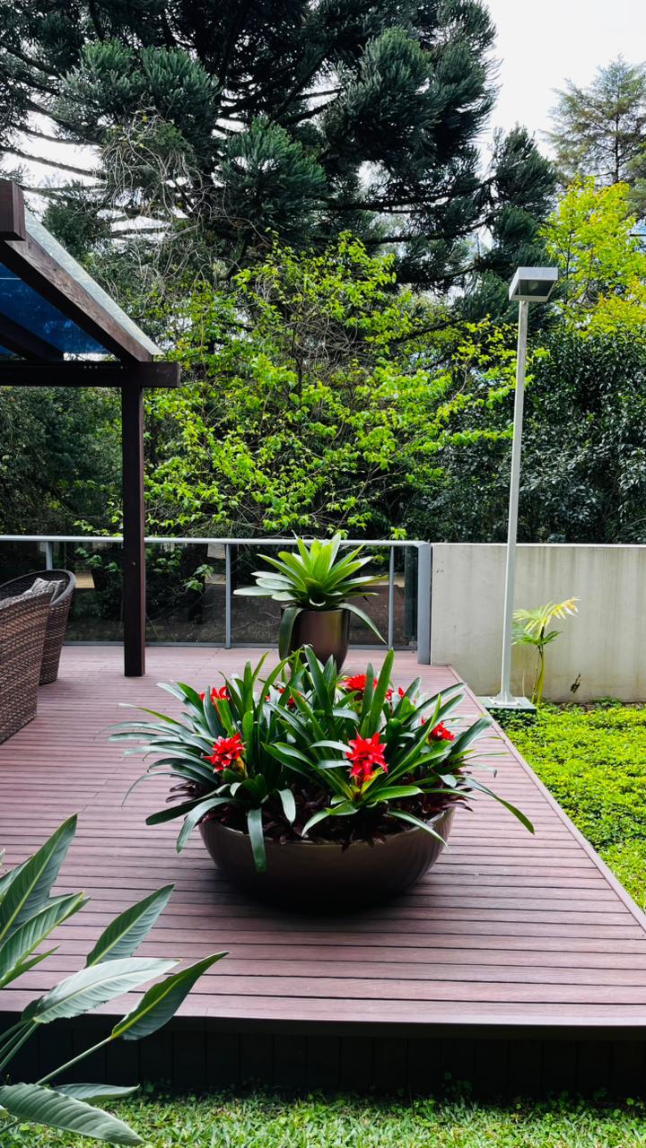 Nosso trabalho de jardinagem 5